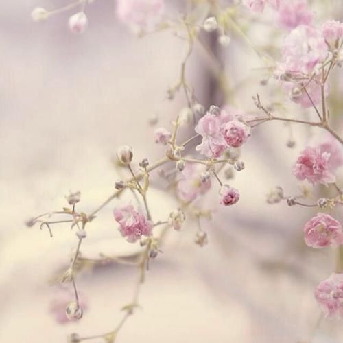 صدا هدفون و میبرم تا ته پلین موزیکای دوتاییمون