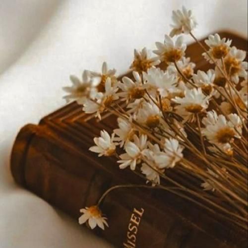 اصن هرچی گفتم حرف حق بود مهم نی که اینا (ترند اینستایی)