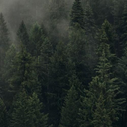 دیگه اصلا حالم خوب نی رفتی همه خاطره هامونو سوزوندی