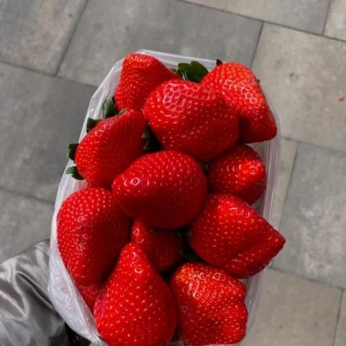 منو ببخش بکن حلالم نکردی برو به سلامت