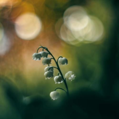 چشاش شده دوام به این در حاجی چشم خشک شد