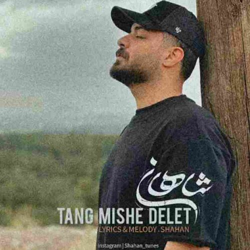 دانلود آهنگ تنگ میشه دلت از شاهان