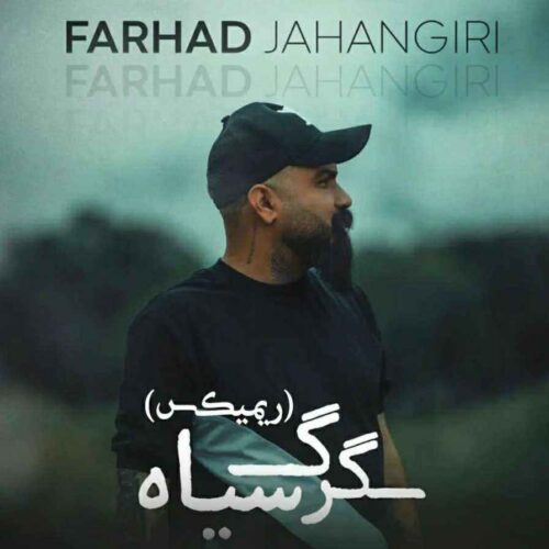دانلود ریمیکس گرگ سیاه از فرهاد جهانگیری