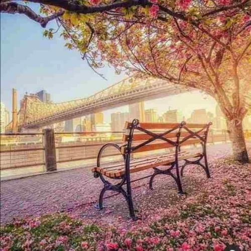 زلف بر باد مده تا ندهی بر بادم (هوش مصنوعی)