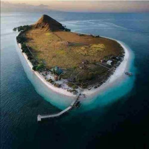 الان یه سال و یه ماه و یه روزه دلتنگتم با صدای زن