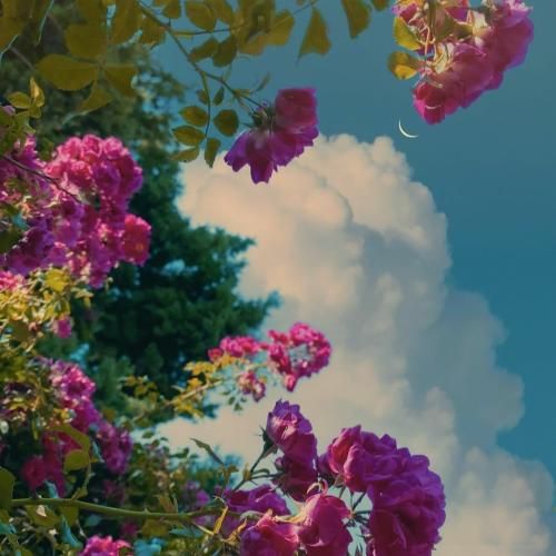  حبسم تو اتاق تاریک سردم منتظرم کیه تاریخ مرگم