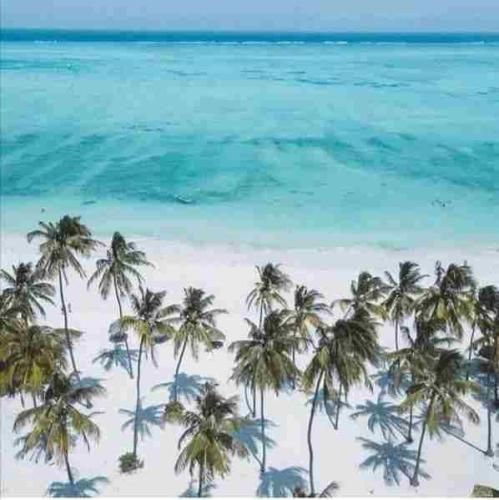 ای عشق بچه ای مو همبازی قدیمی