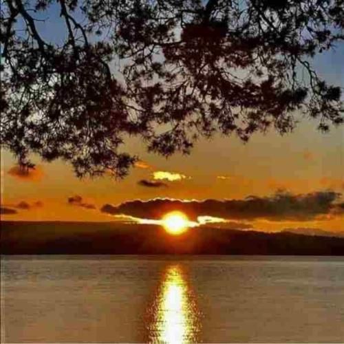 سواریمون پیکانه بارکشمون نیسانه