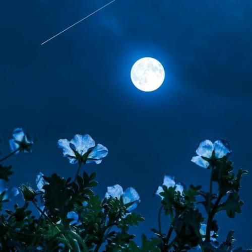 جا خالیت با هیشکی پر نمیشه چطوری از غریبه ها غریبه تر