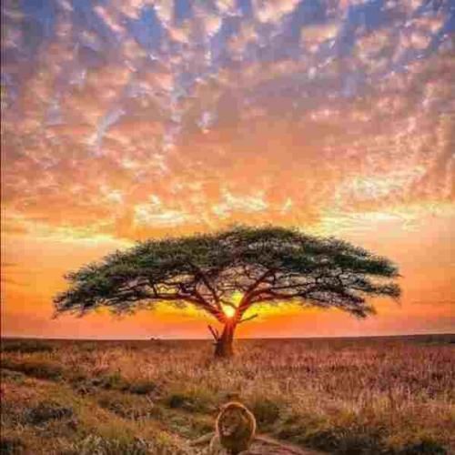 کی میشه یار برات همدم و غمخوار برات