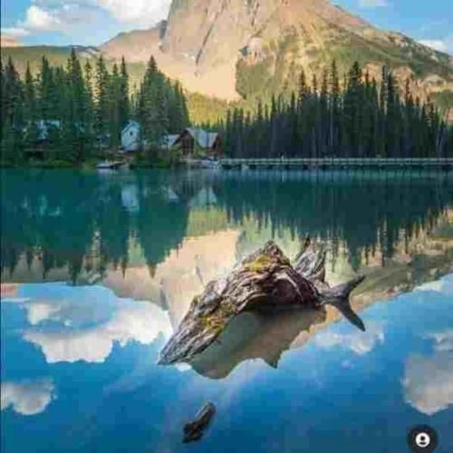 جردنو میریم بالا پایین دور دوره عینه ندیده هاییم