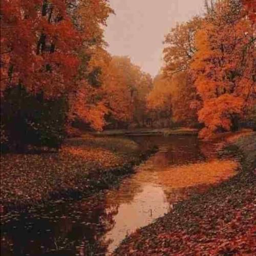 آهای غمی که مثل یه بختک رو سینه ی من