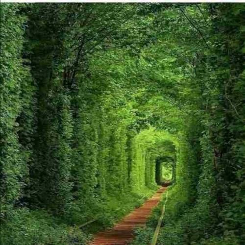 اکسم قد فتا پیگیره مست میکنم چقدر شبا دلگیره