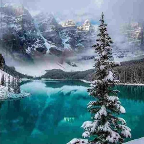 وای وای وای وا ویلا میکنه منو نگاه