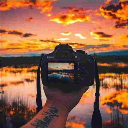 سیل اومد هرچی رویا با خودش برد هوش مصنوعی