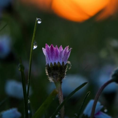 شهرم غرقه کثافته رفیق میکنه به رفیق حسادت