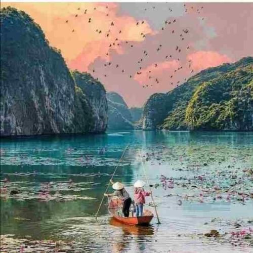 چه کنم چه کار کنم تو منو نشناختی تو ببین