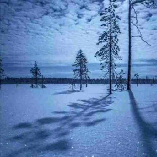 الو بیا پایین دم در وایسادیم