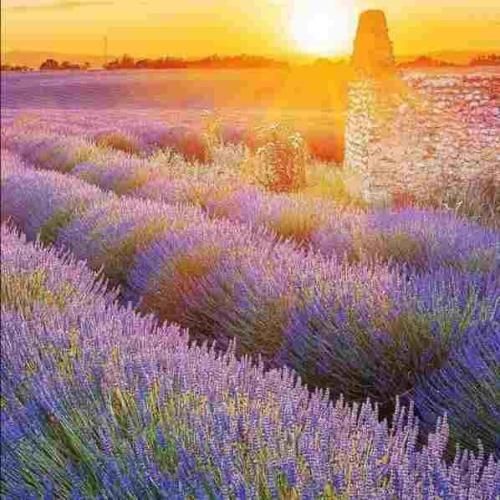 روزا میگذره با خاطراتت باختم منه ساده قلبمو دادم روسی ورژن فارسی