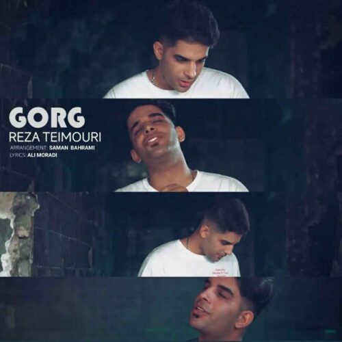 دانلود آهنگ گرگ از رضا تیموری