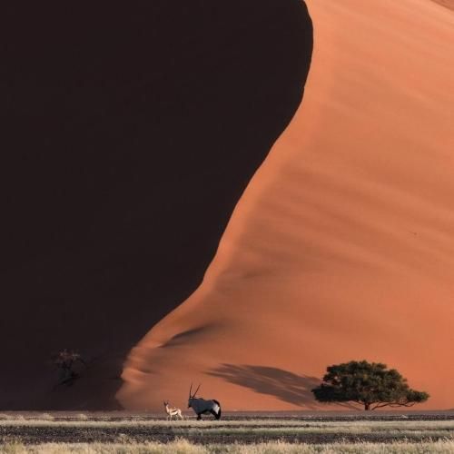 مورفینم شده عکسات دیگه حال و هوام غمه با صدای پسر