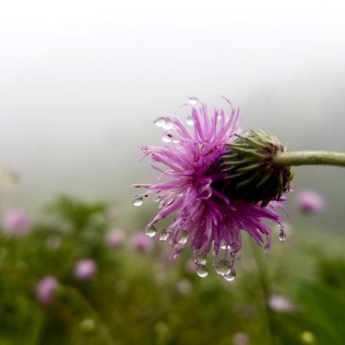 من خستم از این استرس و خستم از این حال بد