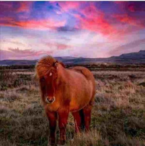 مثل اولاش تو عاشقم نباش به یاد اون شبا