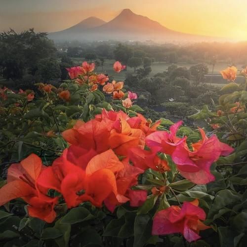 انگار با فیلترا شده دستکاری