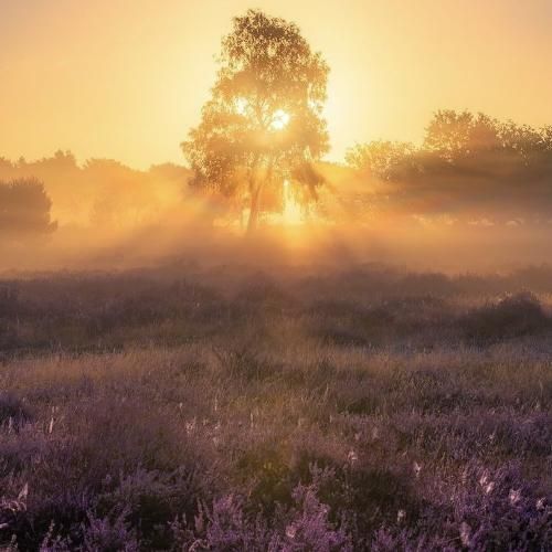 عربی وریدک یا غالی یالی منور اللیالی با صدای زن