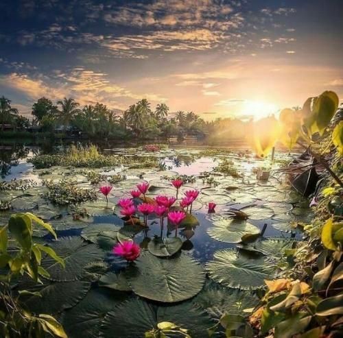 با کاراشون روانیت میکنن میپرسن چرا با صدای دختر