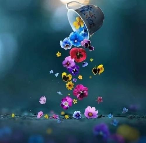 دختره بلن سیاه گایی پیش ما هم بیا گاهی