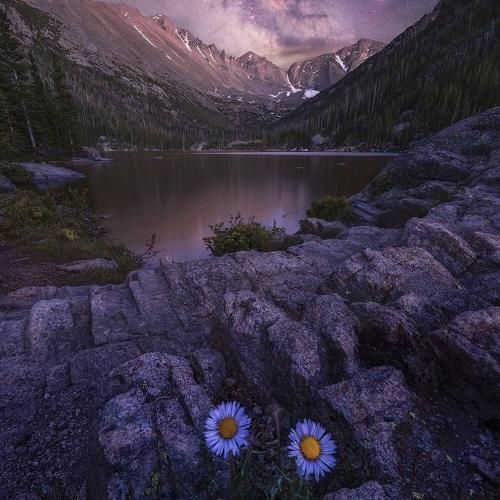 بی ادبی کنی کلکی سه سوت میبینی به درکی