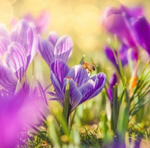 اهه اهه دیس میسو نیستم بشقابو آره