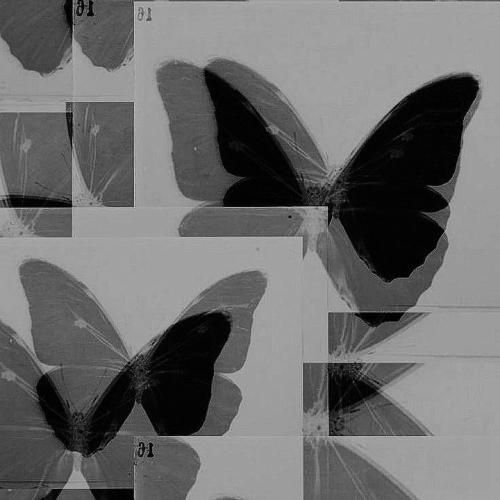  من با چشم بسته بیدارم با صدای دختر اینستایی