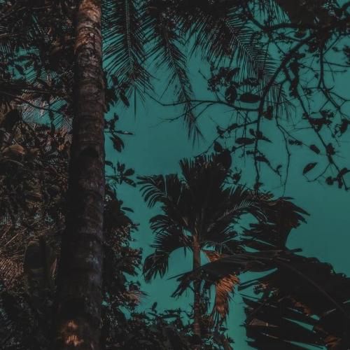 ترکی بهت گفتم دوسش نداشته باش با صدای دختر