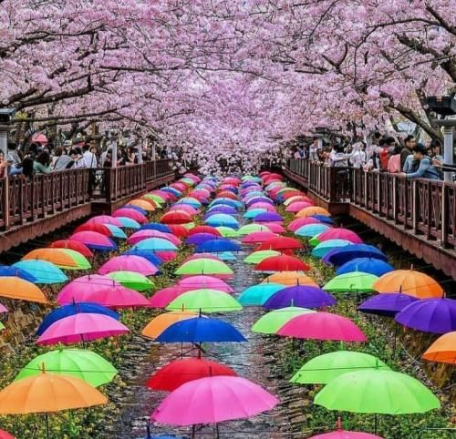 دعا میکنم که خدا به بدخواهامون هم بیشتر بده