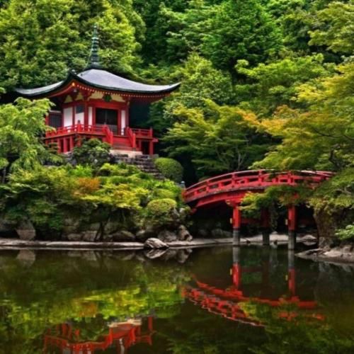 جون دلم تویی جون دلم نرو که رفتنت (هوش مصنوعی اینستایی)