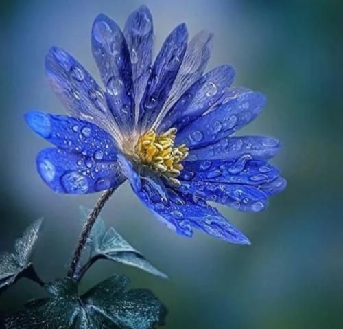 زحمت سنگ قور نکش من خیلی وقته مردم با صدای پسر بچه