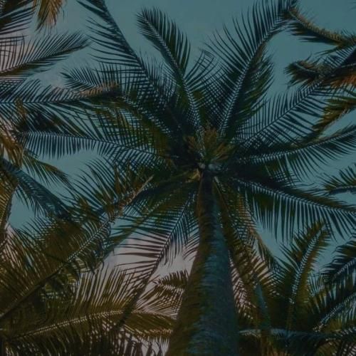 ترکی اگه دور باشه من دیوونه ام مرگ میاد