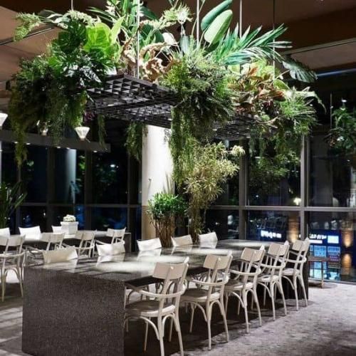 آچو آچو وچچو ترند اینستایی هندی