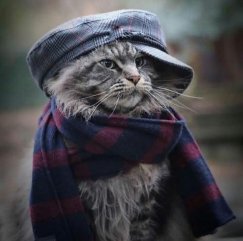  یار چند سالمو دادن به مردم با صدای دختر و پسر