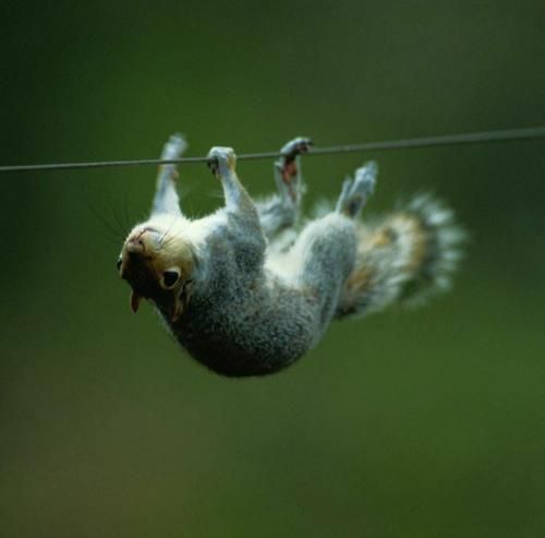 اون اگه بره مگه میشه که تنگ نشه دلش