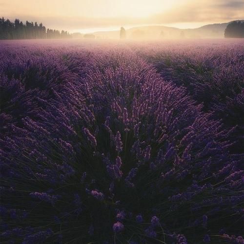 میبینم صورتمو تو آینه با لبی خسته