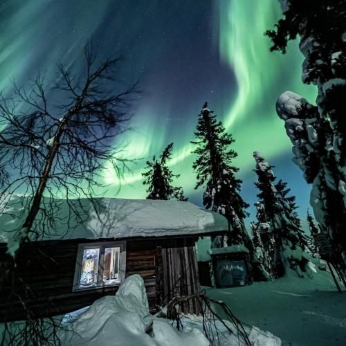 خارجی اوکانه کاسگو اوررا واستار