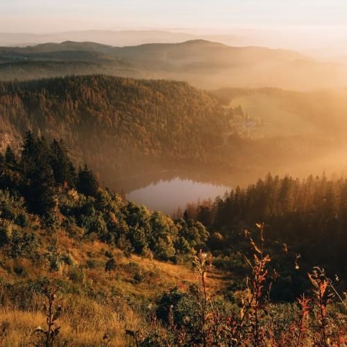 بیا خواهر که درمان و دوایی و طبیبی