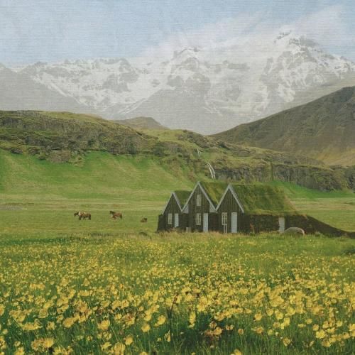 کی میشه یار برات همدم و غمخوار برات