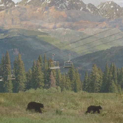 مستم کن امشب ساقی کجایی با صدای زن