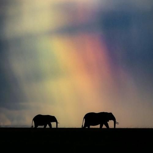 پنجشنبه شب شده دوباره عرقو بیار با صدای رونالدو