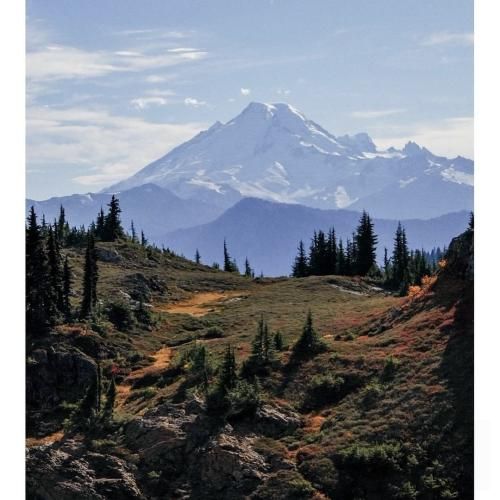 اوکانه کاسگو اوررا واستار ورژن فارسی