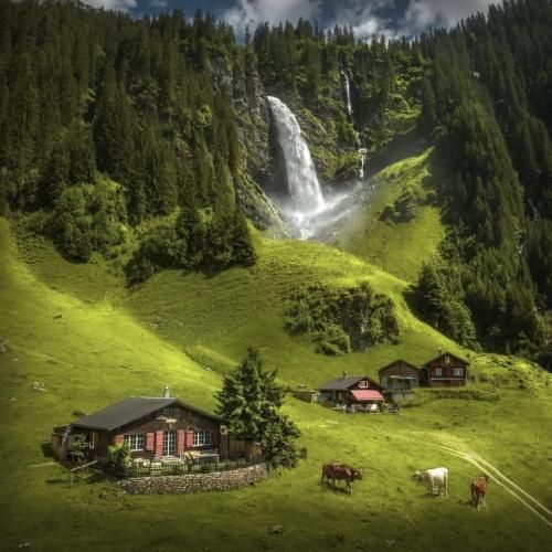 وقتی تو با من بدی از بقیه چی توقع میره با صدای دختر